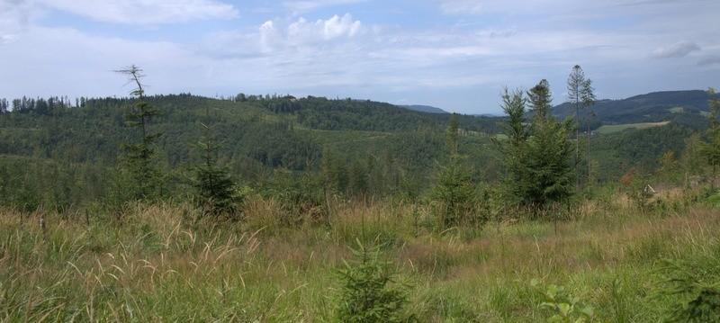 Panorama z okolicy Czupla