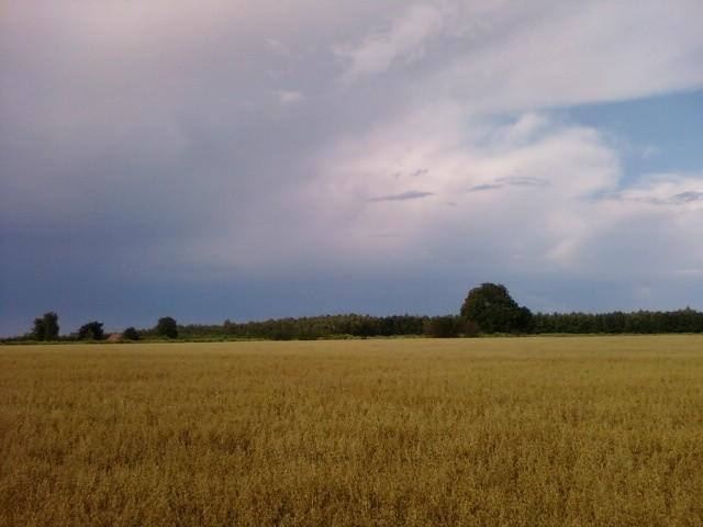 Odchodząca burza
