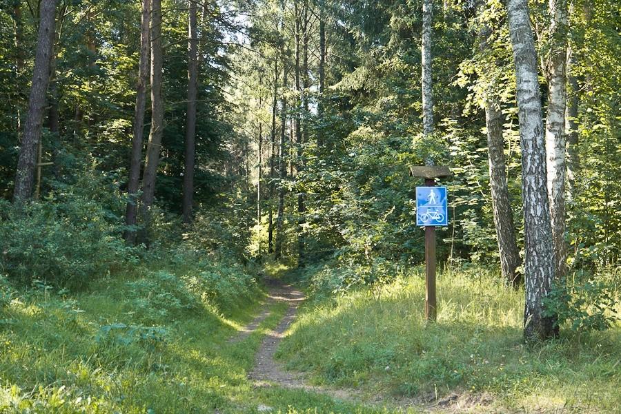 dalej można jechać przez las