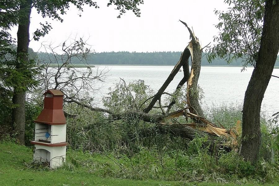Robi się masakra