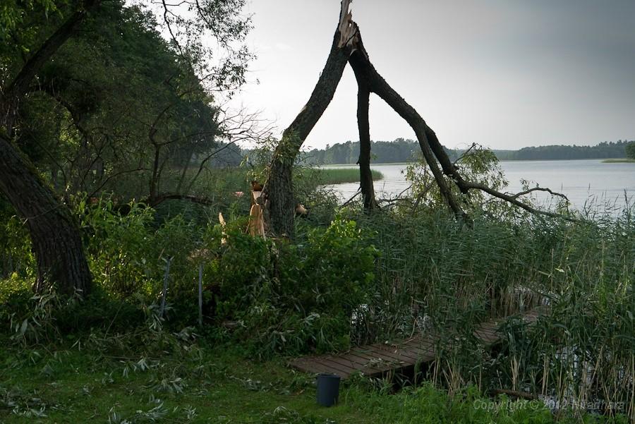 na szczęście nikt nie stał pod tym drzewem