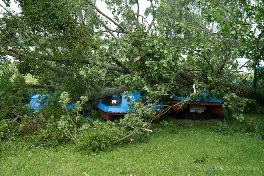the day after