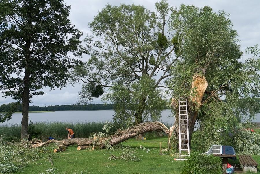 pod tym drzewem stała nasza przyczepa