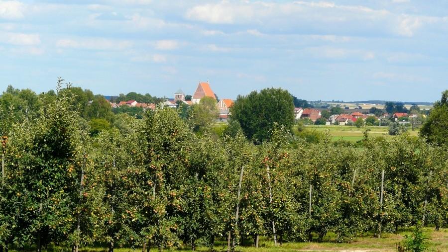 Widok na Wiślice