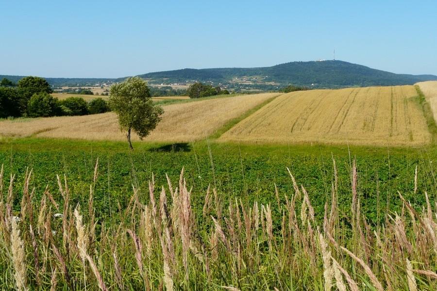 Święty Krzyż z pasma Jeleniowskiego