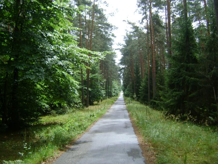 Droga przeciwpożarowa Spała-Czerniewice