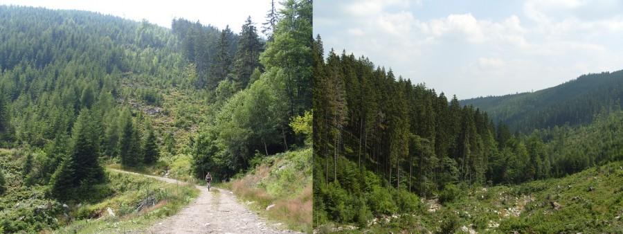 Anamaj pokonująca zjazd w iście MTB stylu.