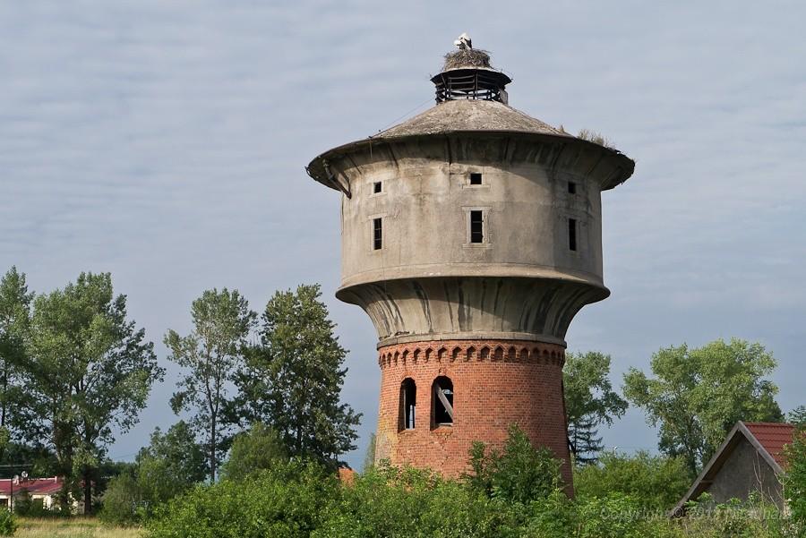 Mazury to kraina bocianów