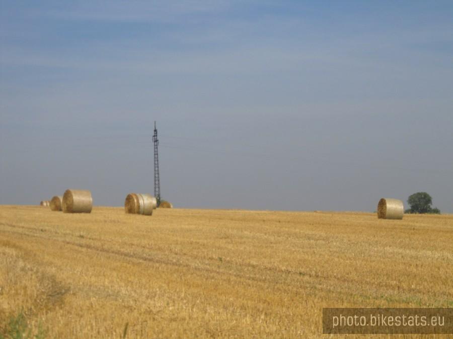 jeszcze 50 czarnych dni