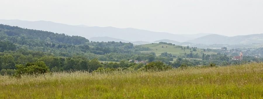 W Beskidach.