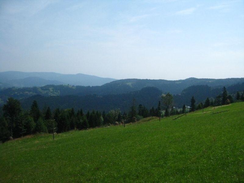 Widok z Obidzy