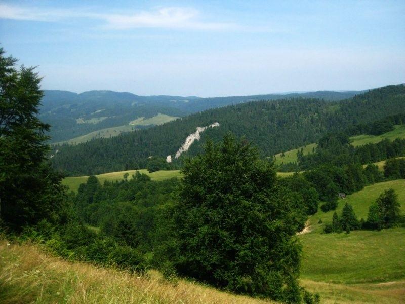 Widoczek