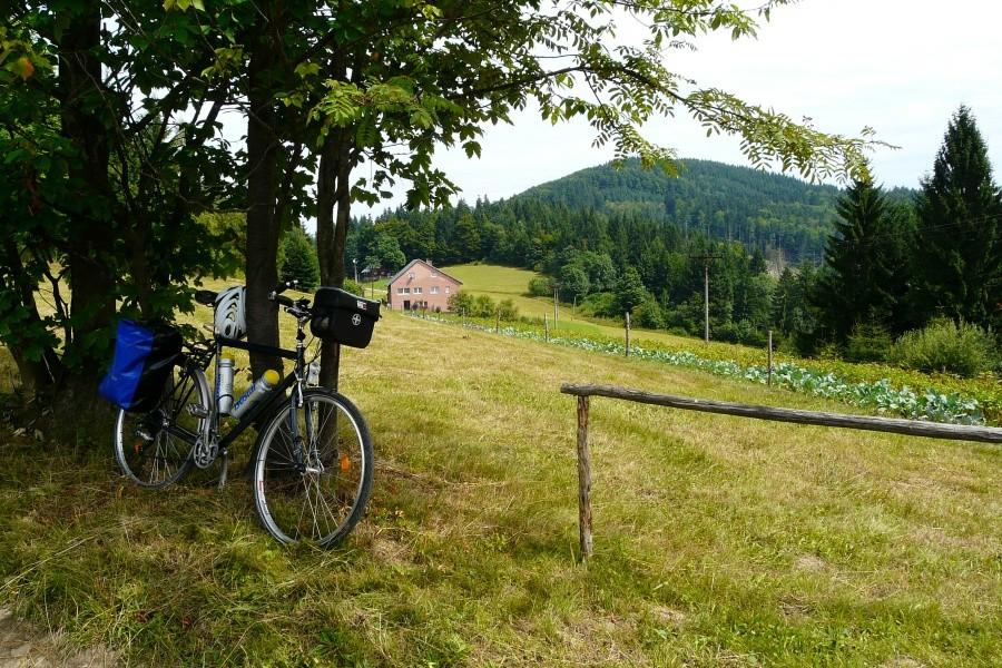 Widok na Girową