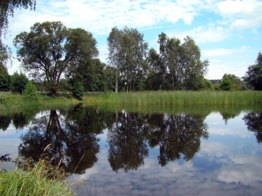 Jak w lustrze - jeden ze stawów we wsi Głogówko