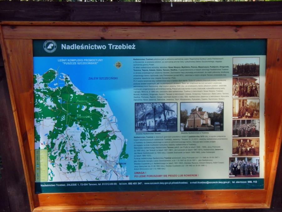 Zalesie - teren Nadleśnictwa Trzebież - tablica informacyjna.