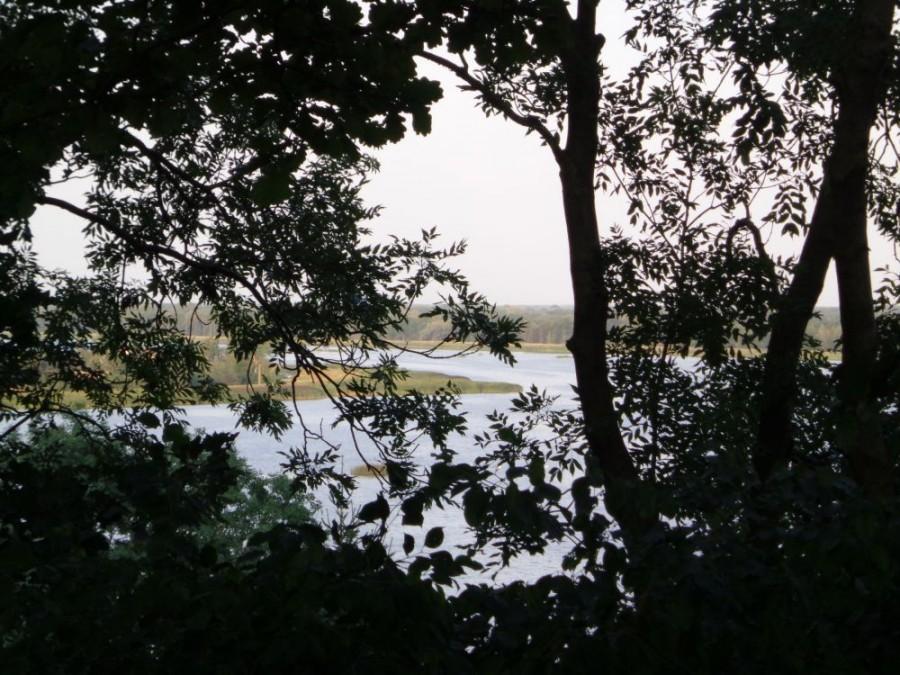 lasek zasłonił Bug i Narew
