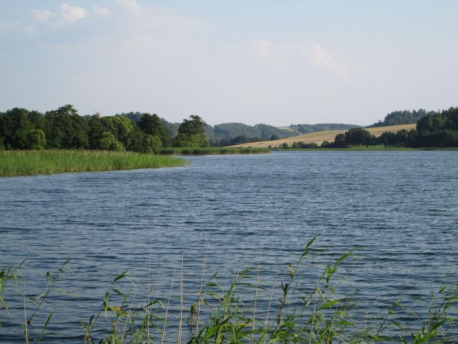 Widok na Jezioro Małe Brodno w Zaworach