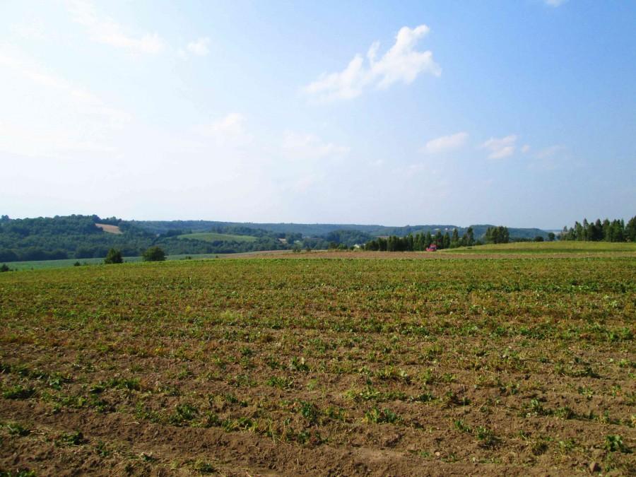 Okolice Kożyczkowa