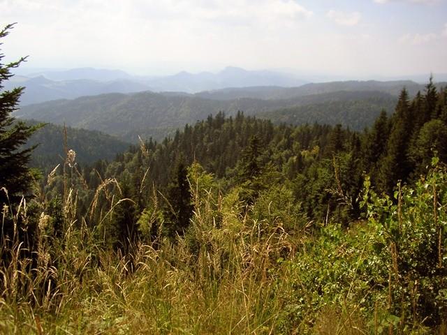 Widok z czerwonego szlaku