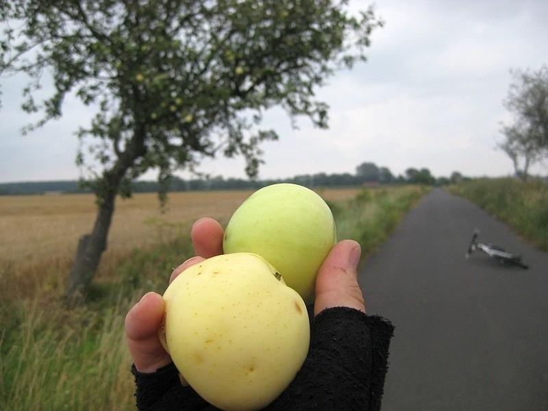 Przydrożny bufet