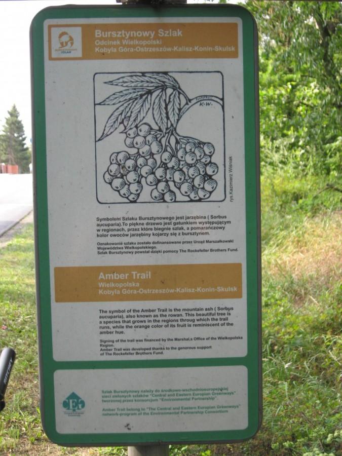 Bursztynowy szlak-odcinek wielkopolski i róg mego roweru