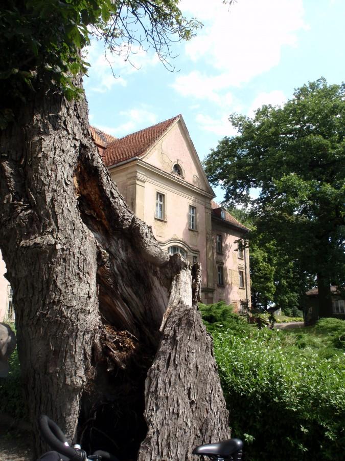 Pałac w Wędzinie
