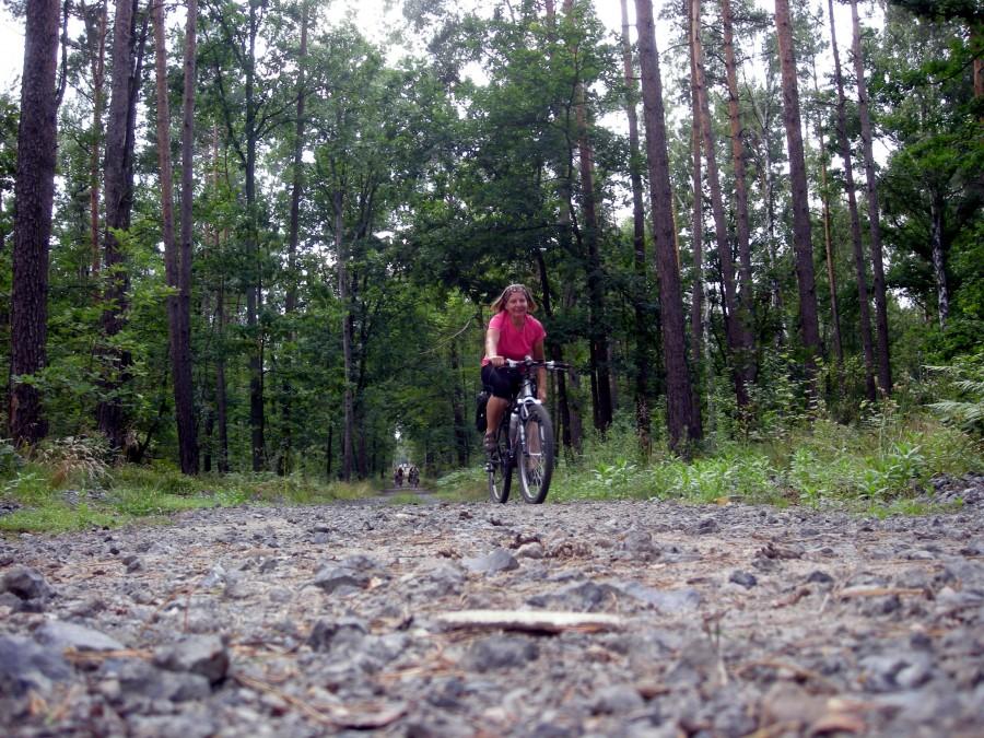 Leśna droga wysypana drobnymi kamieniami