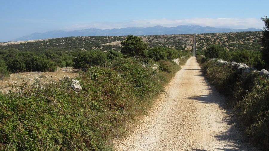 Road to Hell