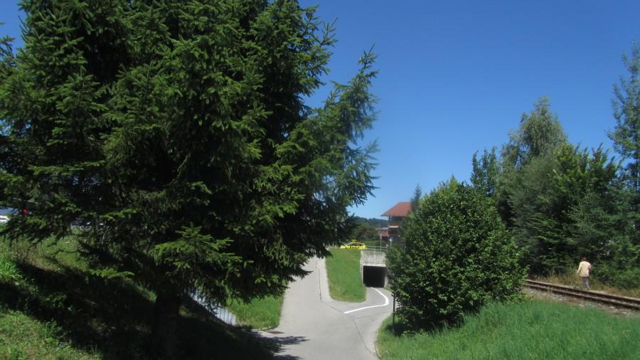 Odmalowana ciagla Linia