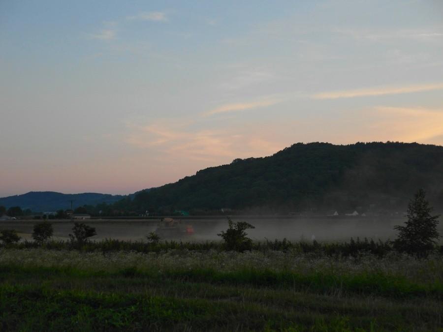 Żniwa