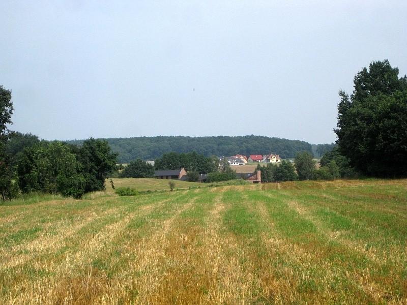 Dębogóra w oddali - Puszcza Zielonka wita