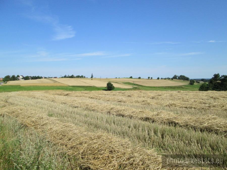 Widok z Sytnej Góry. Okolice Pomieczyna