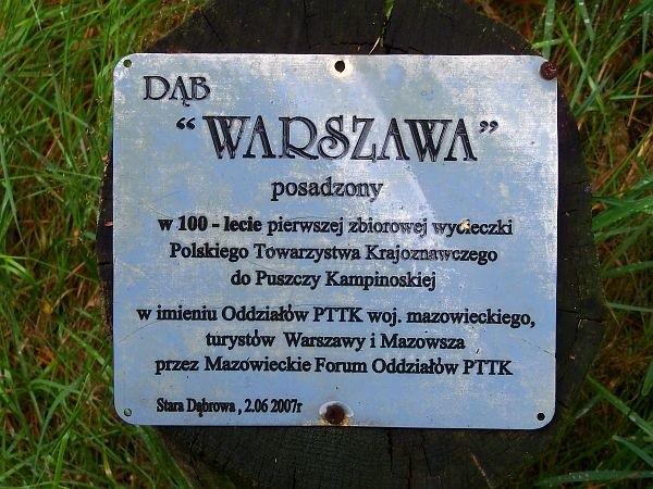 Dąb Warszawa - tabliczka informacyjna