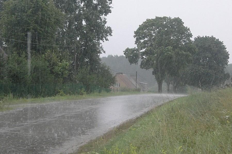 Leje