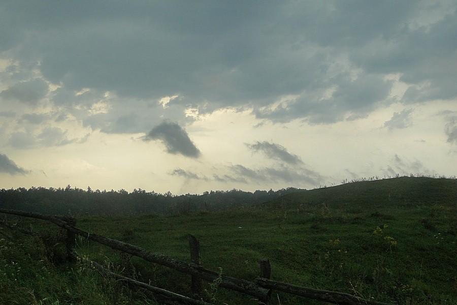 Przechodzi