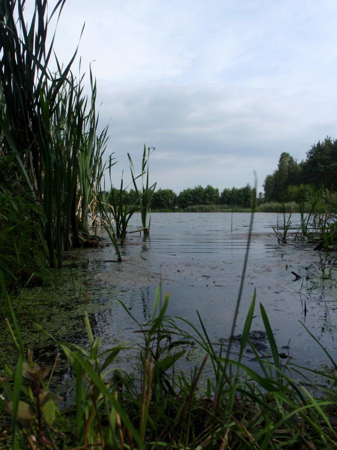 W Ostrowach nad Okszą