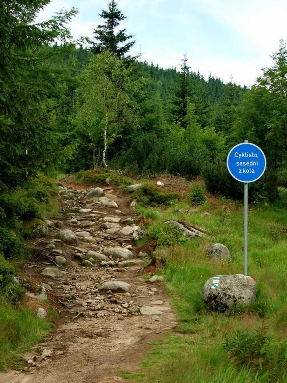Cyklisto sesedni z kola