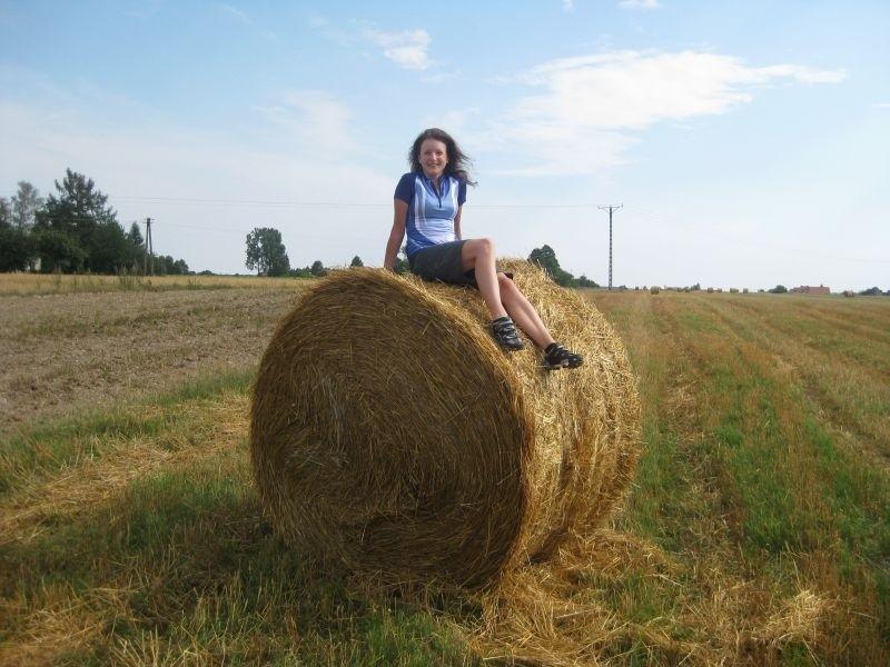 Żniwa:)