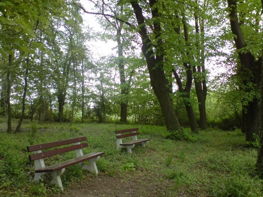 parczek w strupinie