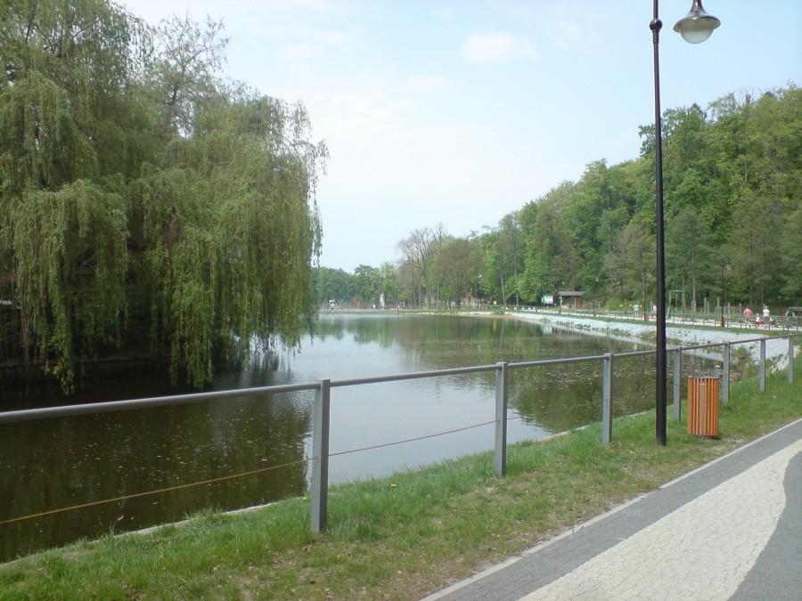 staw w trzebnicy