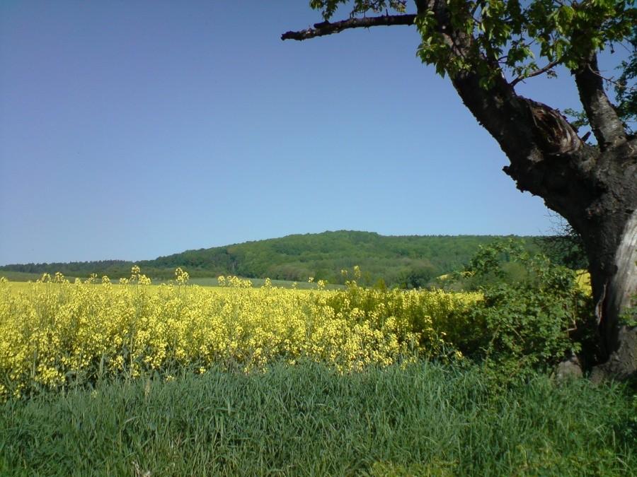 wzgórza strzelińskie