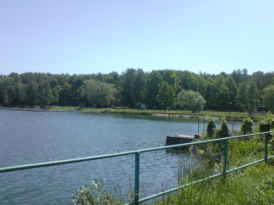 staw w wilczynie