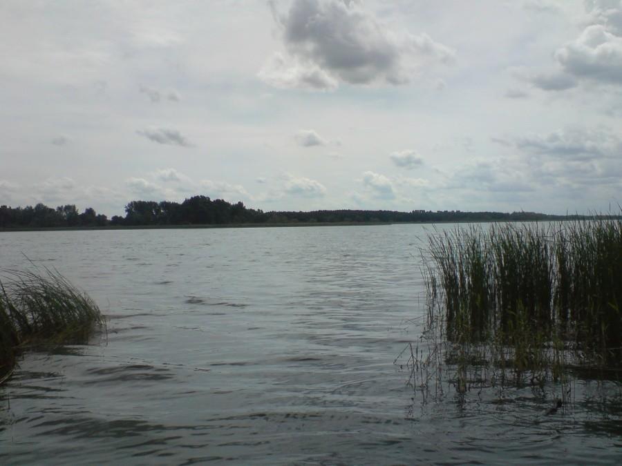 jezioro w wolsztynie