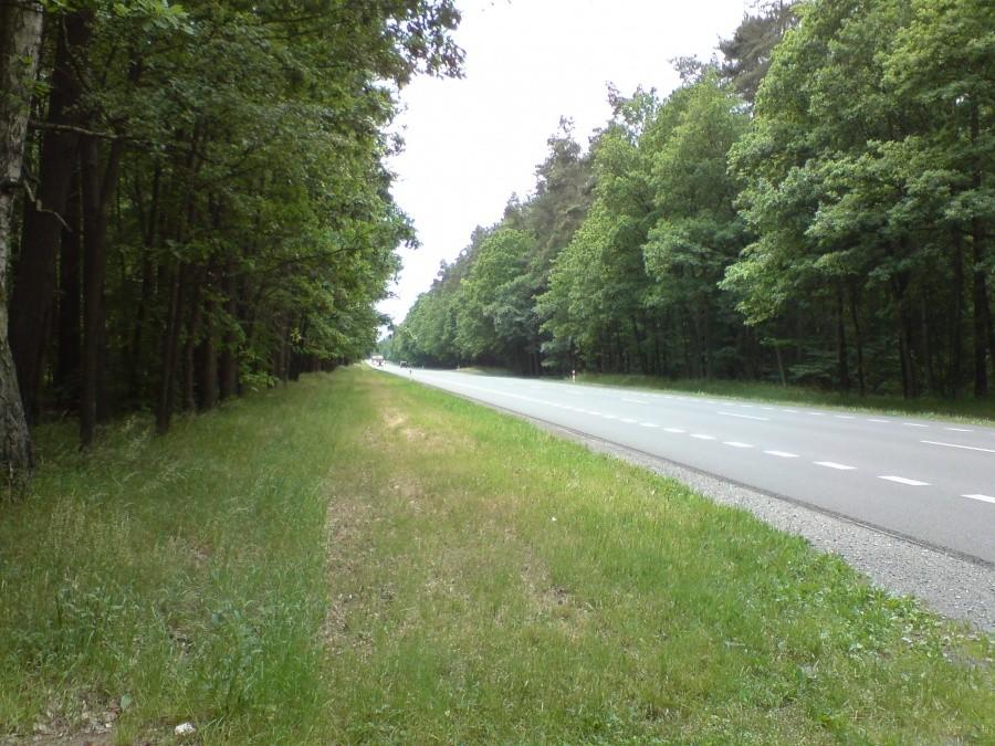 tak piękna droga prowadzi nad samo morze