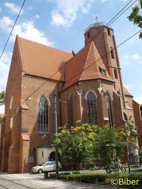 „Książkowy” kościół św. Macieja