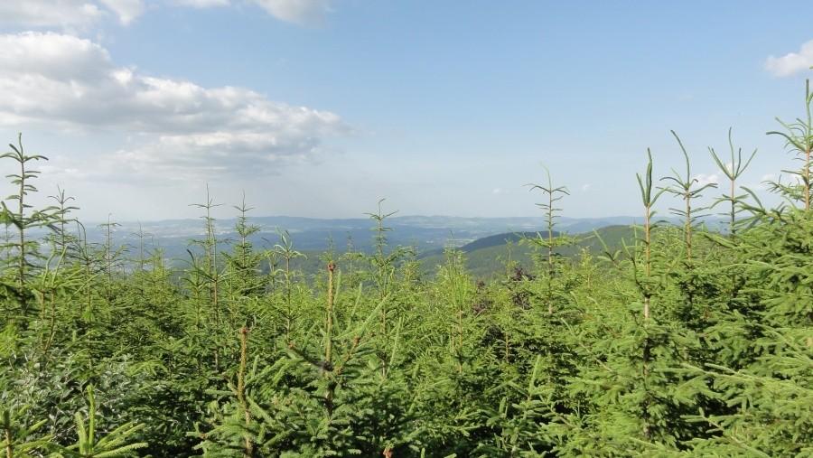 na grzbiecie karkonoszy
