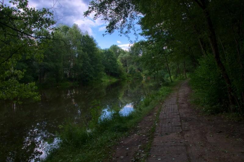 Staw w poblizu akademików