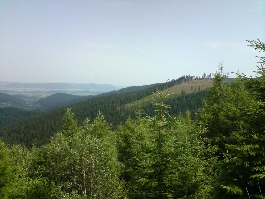 widok z grzbietu karkonoszy