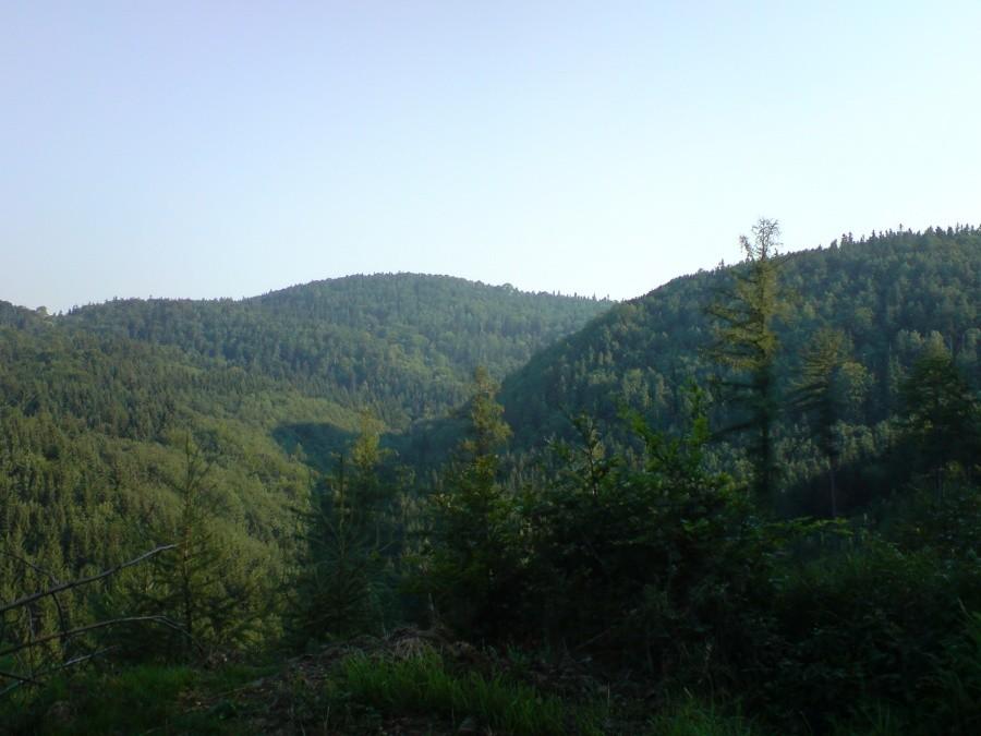 zalesione szczyty