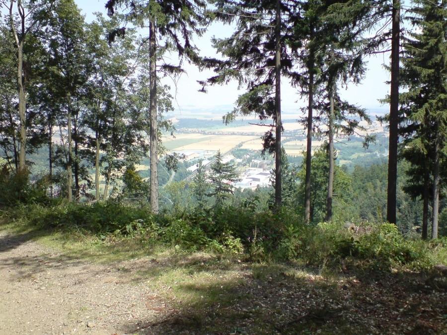 Widok z góry